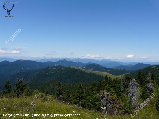 panoraaama