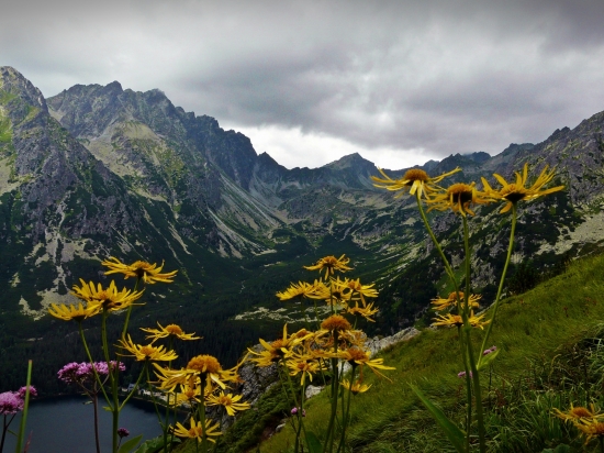 Tatry-  pohľad na Popradské pleso