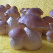 hríby(cca 20cm)