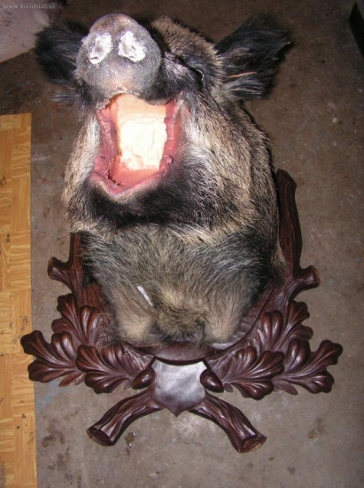 podložka pod diviaka (50x80cm)