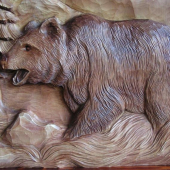 medveď detail