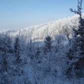 Zima na Spálenom vrchu