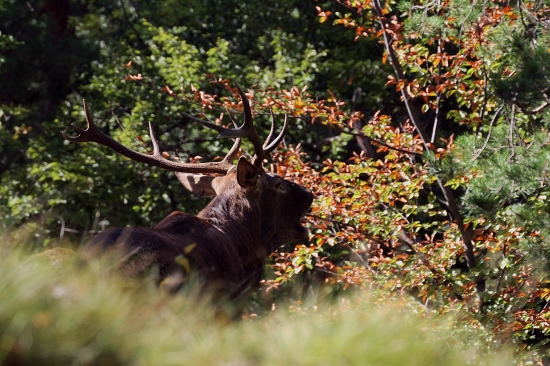 Najkrajšia časť roka