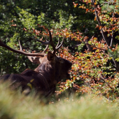 Najkrajšia časť roka