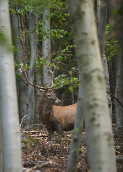 Už skoro za tmy