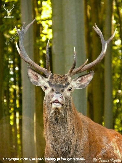 privábený