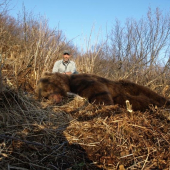 Kodiak,váha 750kg, délka 3,5m