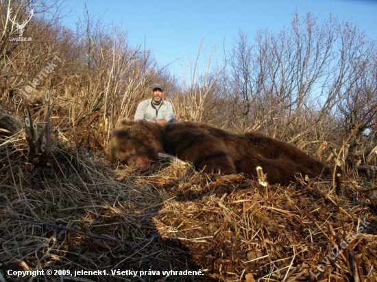 Kodiak,váha 750kg, délka 3,5m