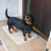 fatima spod tribča