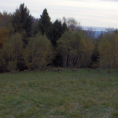 vysoká