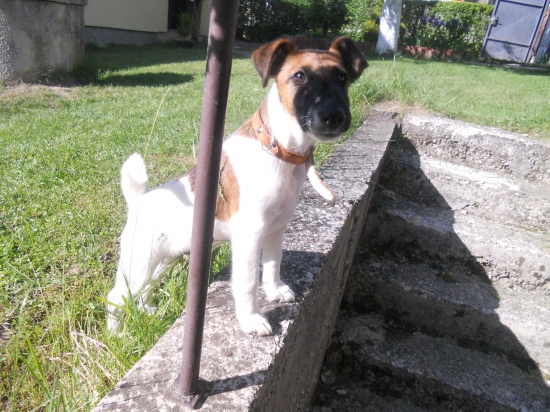 ATREY Dangerous Teritorry- 3 mesiace :)