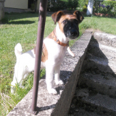 ATREY Dangerous Teritorry- 3 mesiace :)