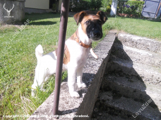 ATREY Dangerous Teritorry- 3 mesiace :)