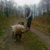 nosič :)