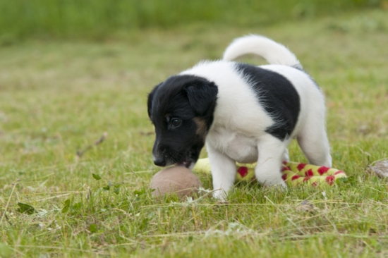 Barbara Dangerous Teritorry
