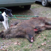 Amanda Laro Slovakia a jej kamarát