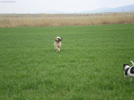 čo všetko sa dá nájsť v prírode??!!