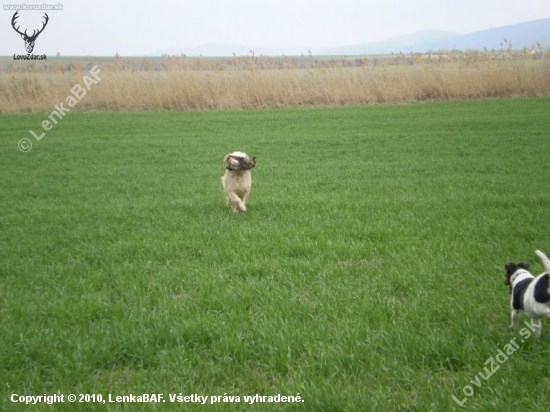 čo všetko sa dá nájsť v prírode??!!