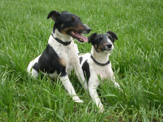 2 princezné alebo mamča a dcérka :)