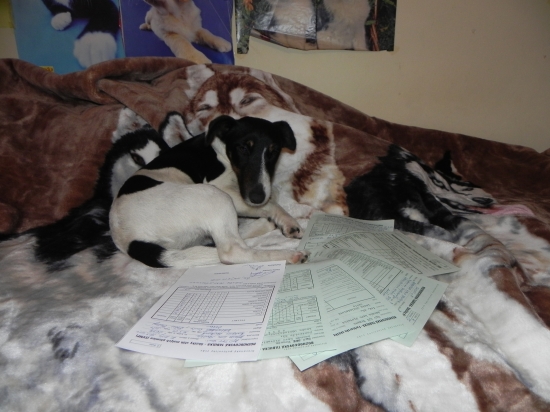 rok 2010 nám dal veľa v oblasti skúšok :)