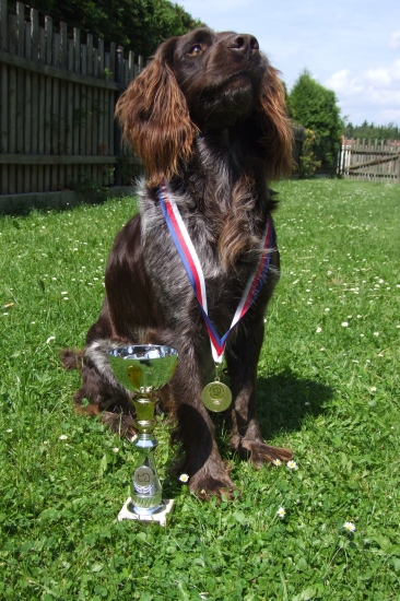 Hrdina (ale pozoroval vosu =))