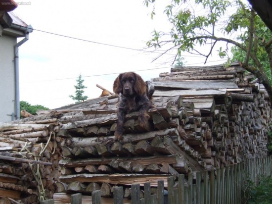 Náš velkej horolezec