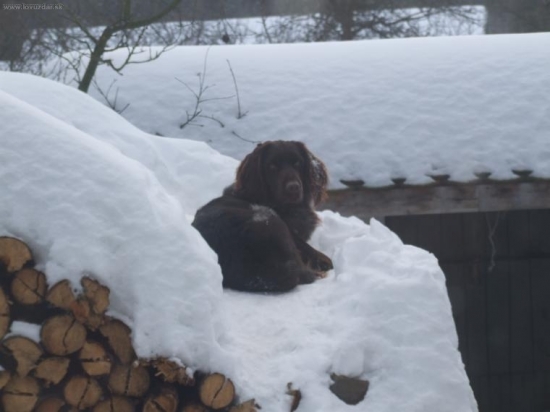 Nejlepší je sněhová peřina