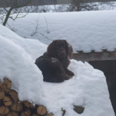 Nejlepší je sněhová peřina