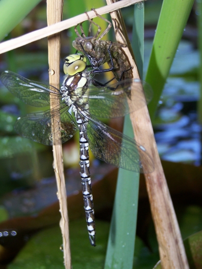 Soustředění na první let