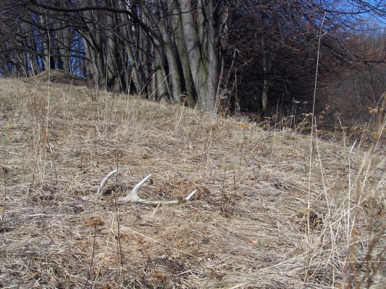 Starší,ale počítá se