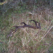 Kamarádův shoz z Libavé