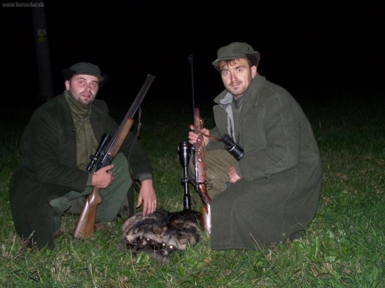 Dva psíci mývalovití