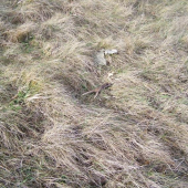 Parádní shoz našla manželka