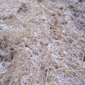 Kamarádův dnešní