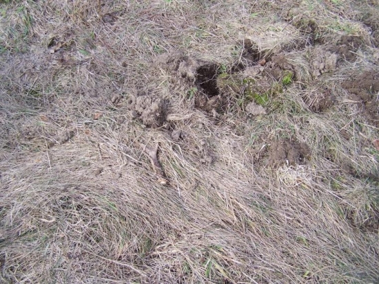 Po dvou měsících i ten druhý do páru