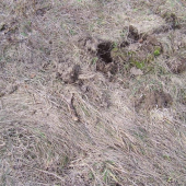 Po dvou měsících i ten druhý do páru