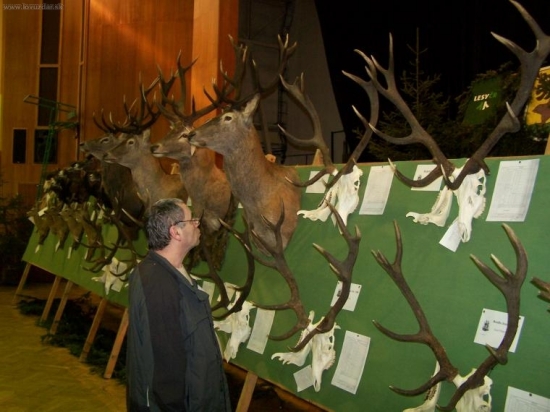 Chovatelská přehlídka Jeseník 2010