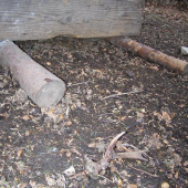 Na vycházce s Falkem