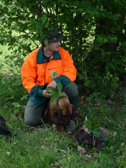 Víťaz medzinárodných skúšok farbiarov - Taliansko DITA Vrátna dolina