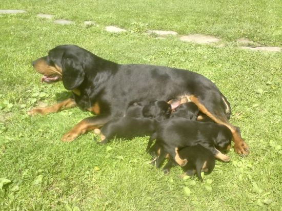 CHS. Mútňanská dolina