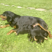 CHS. Mútňanská dolina