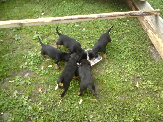 CHS. Mútňanská dolina