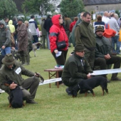 Špeciálna výstava