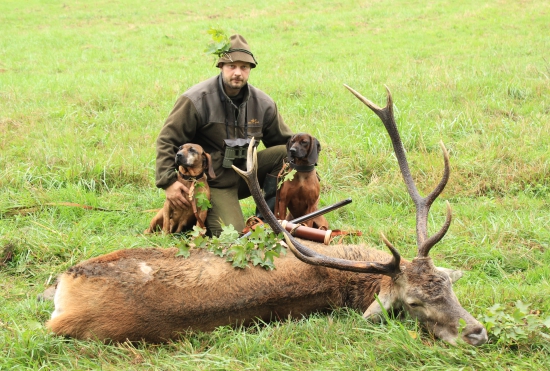 Po úspešnej dohľadávke vlastného jeleňa :)