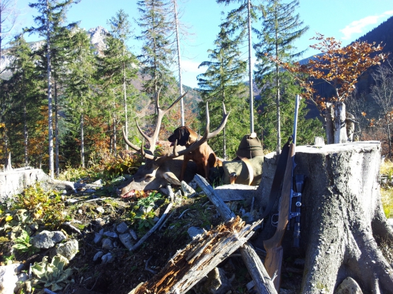 Takto to dopadlo po hodinovom stavaní :)