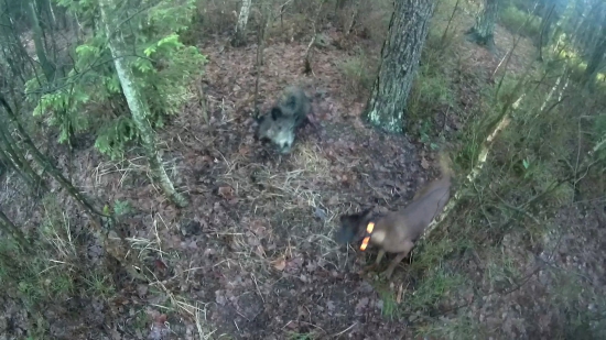 Este jedna z akcie :)