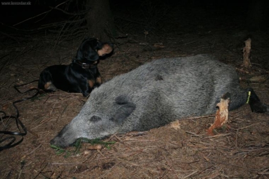 Tessy opät úspešná...