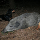 Tessy opät úspešná...