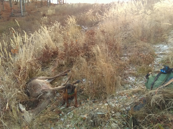 Ďalšia úspešná dohľadávka.