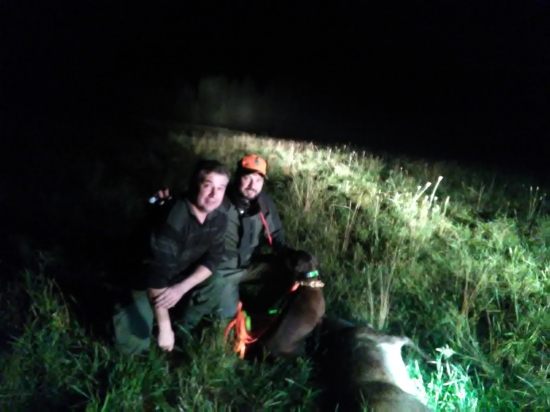 Vždy sa oplatí preveriť nástrel